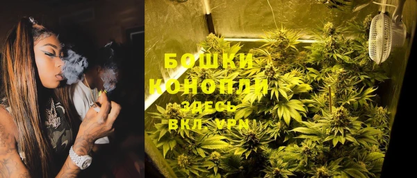 эйфоретик Гусев